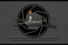 ref. photo 3635781