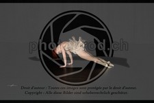 ref. photo 3635810