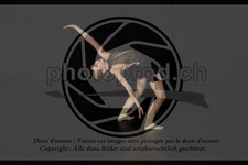 ref. photo 3636002