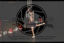 ref. photo 3636026