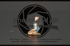 ref. photo 3636087
