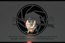 ref. photo 3636095