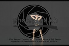 ref. photo 3636299