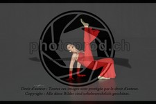 ref. photo 3636348