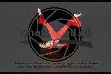 ref. photo 3636366