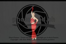 ref. photo 3636382