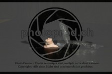 ref. photo 3636420