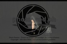 ref. photo 3636423