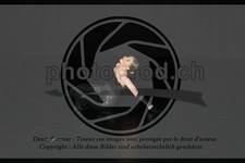 ref. photo 3636426