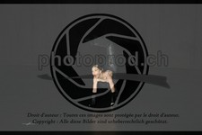 ref. photo 3636428