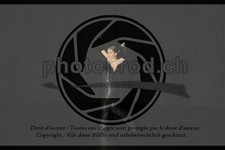 ref. photo 3636430