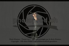 ref. photo 3636432