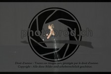ref. photo 3636443