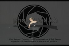 ref. photo 3636446