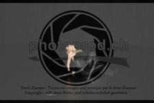 ref. photo 3636458