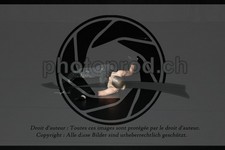 ref. photo 3636472