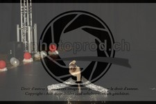 ref. photo 3636520