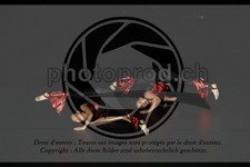 ref. photo 3636629