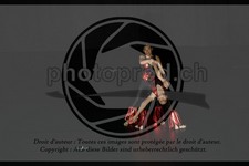 ref. photo 3636639