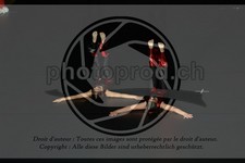 ref. photo 3636646