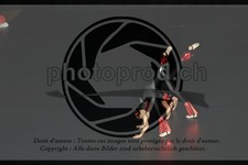 ref. photo 3636660