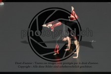 ref. photo 3636663
