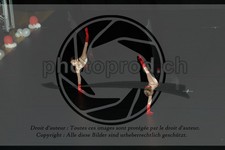 ref. photo 3636689