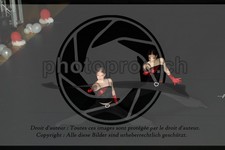 ref. photo 3636732