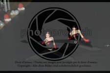ref. photo 3636734