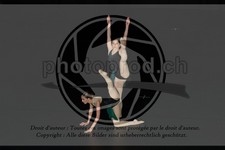ref. photo 3636751
