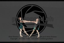 ref. photo 3636752
