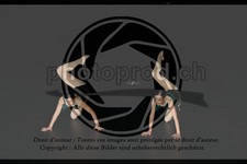ref. photo 3636769