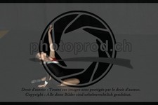 ref. photo 3636788