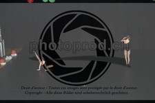 ref. photo 3636791