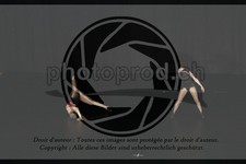 ref. photo 3636793