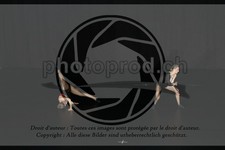 ref. photo 3636794