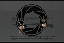 ref. photo 3636813