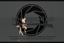 ref. photo 3636836