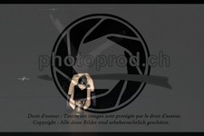 ref. photo 3636851