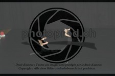 ref. photo 3636857