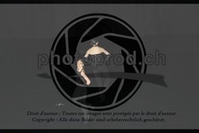 ref. photo 3636862