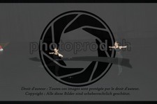 ref. photo 3636871