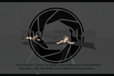 ref. photo 3636882