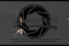 ref. photo 3636890