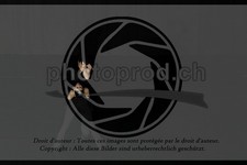 ref. photo 3636891