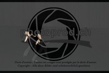 ref. photo 3636894