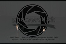 ref. photo 3636895