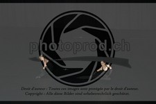 ref. photo 3636896
