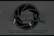 ref. photo 3636899