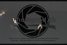 ref. photo 3636900